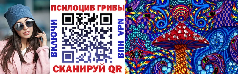 Псилоцибиновые грибы Psilocybine cubensis  Задонск 